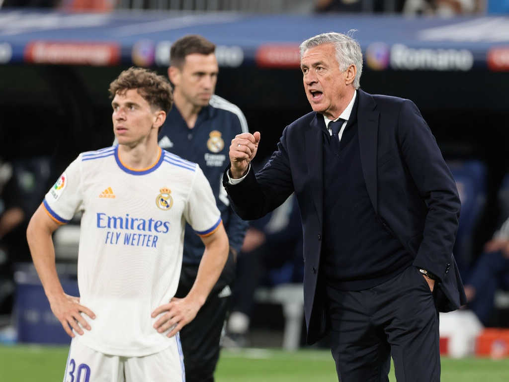 带来长远的 带来长远的