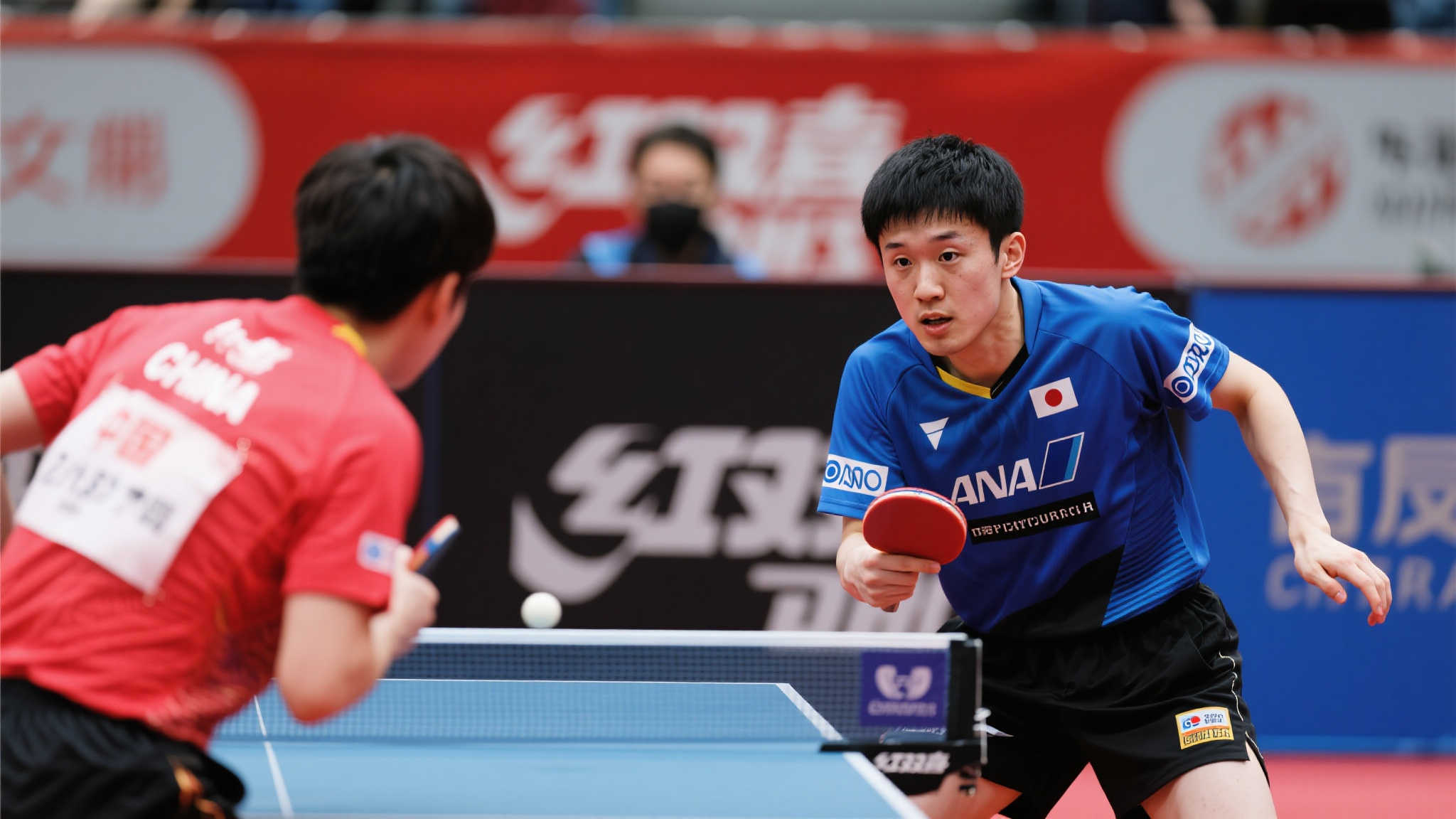 帕利尼亚却 帕利尼亚却