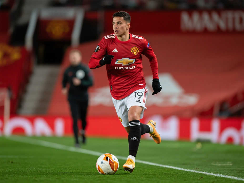 国家队的国 国家队的国